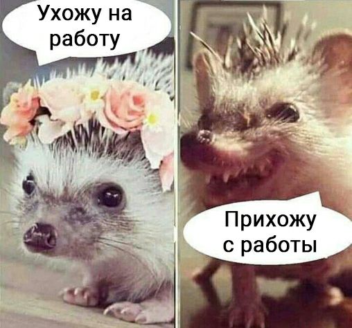 Прихожу сработы