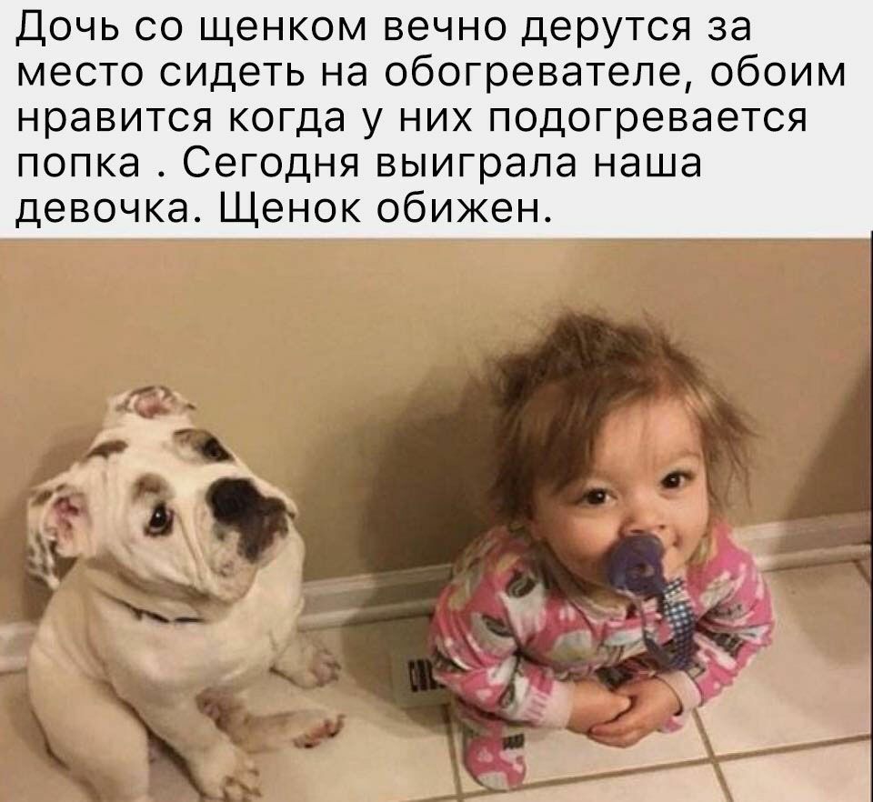 Дочь со щенком вечно дерутся за место сидеть на обогревателе обоим нравится когда у них подогревается попка Сегодня выиграла наша девочка Щенок обижен