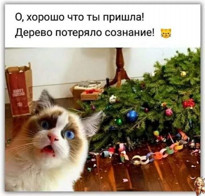 0 хорошо что ты пришла Дерево потеряло сознание