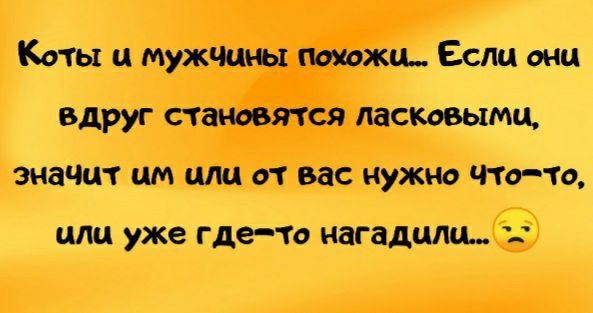 Коты и мужчины похожщ Если она вдруг становятся ласковыми значт им или от вас нужно чтото или уже ГдеТО НЭГЗДЦЛЩ