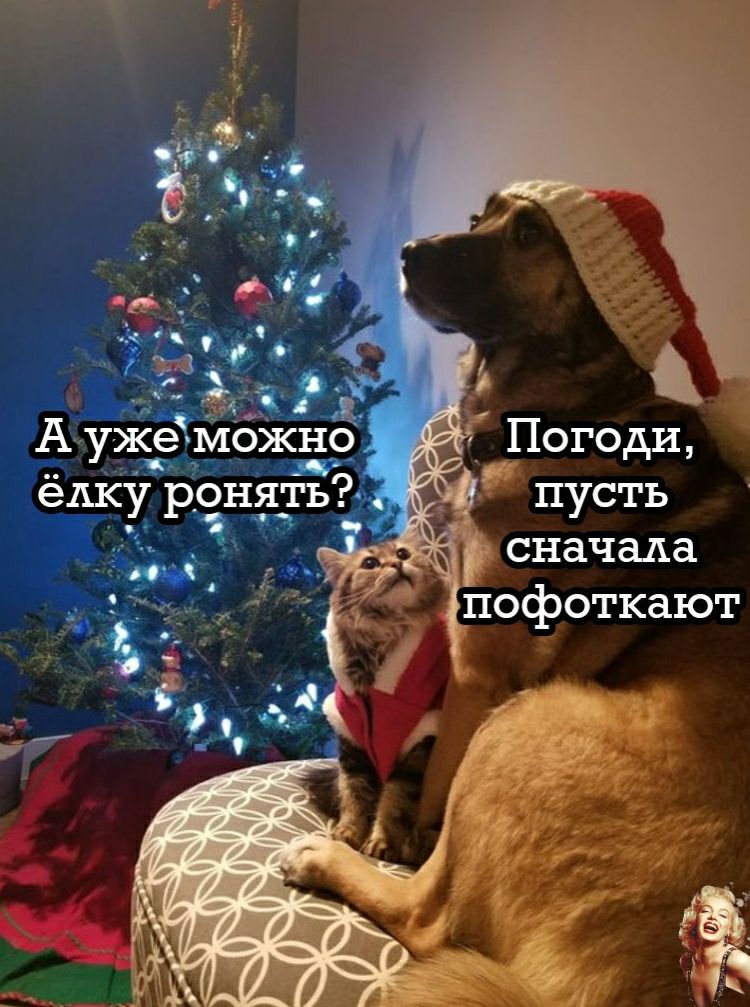 АужеЁможно __ Ё д едк ронять 17