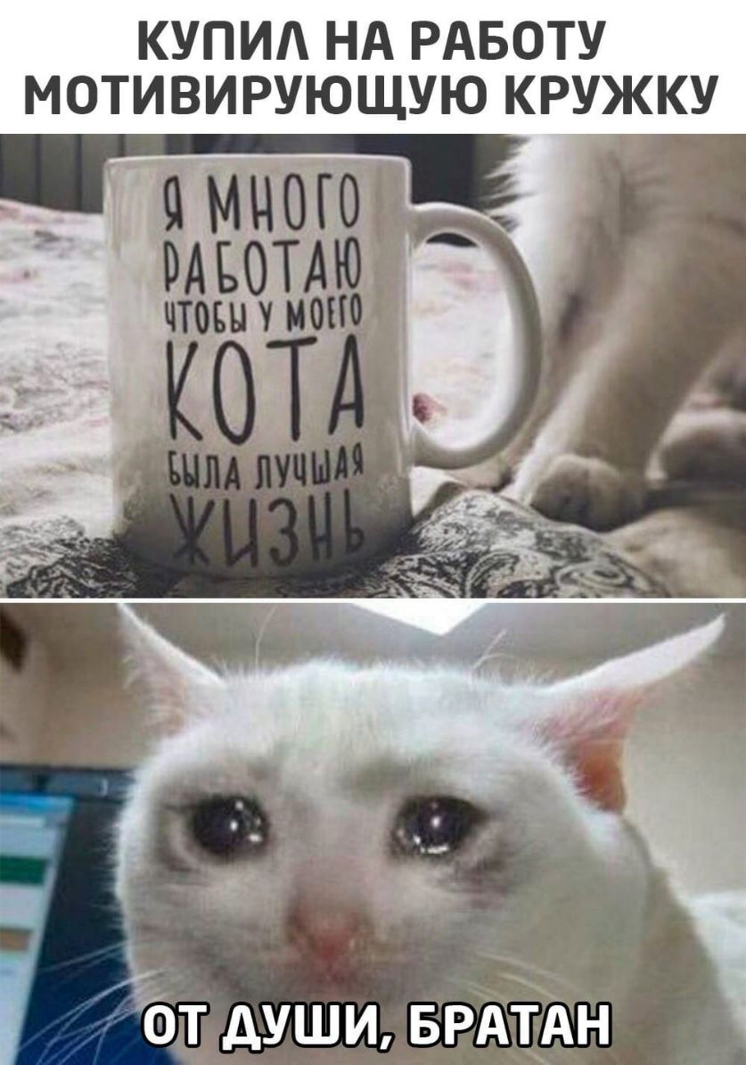 КУПИ НА РАБОТУ МОТИВИРУЮЩУЮ КРУЖКУ к ОТ дУШИ БРАТАН