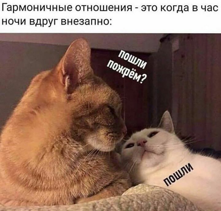 Гармоничные отношения это когда в час ночи вдруг внезапно