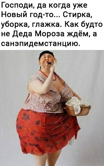 Господи да когда уже Новый год то Стирка уборка глажка Как будто не Деда Мороза ждём а санзпидемстанцию