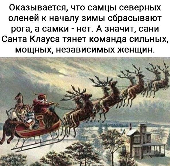 ОКЗЗЫВЗеТСЯ ЧТО СЗМЦЫ северных оленей К началу ЗИМЫ сбрасывают рога а СЭМКИ нет А ЗНЗЧИТ сани СЗНТЗ КЛЗУСЭ ТЯНЗТ команда СИЛЬНЫХ МОЩНЫХ НЗЗЭВИСИМЫХ ЖЭНЩИН