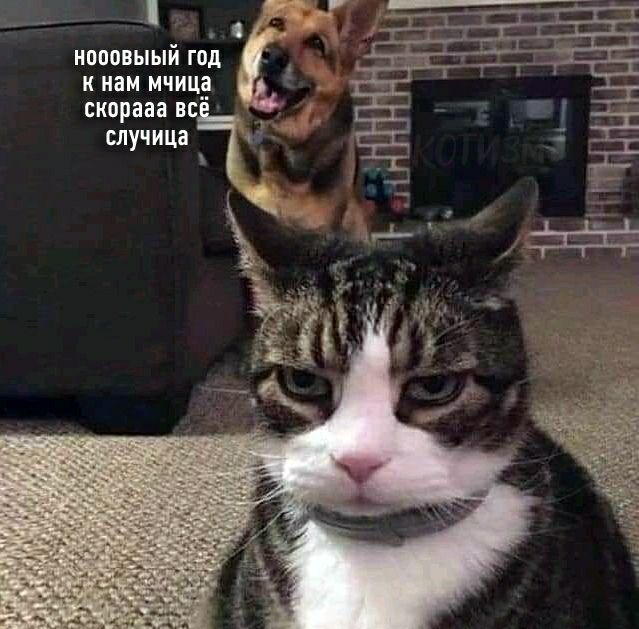 наповыый год к нам мчиц_а скорааа вс _ случицат