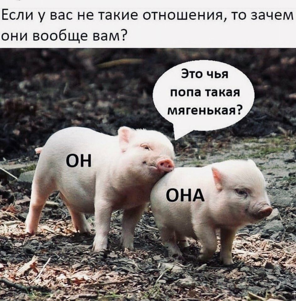 ЕСЛИ у ВЭС не такие ОТНОШЕНИЯ ТО зачем они вообще вам Это чья попа такая мягенькая