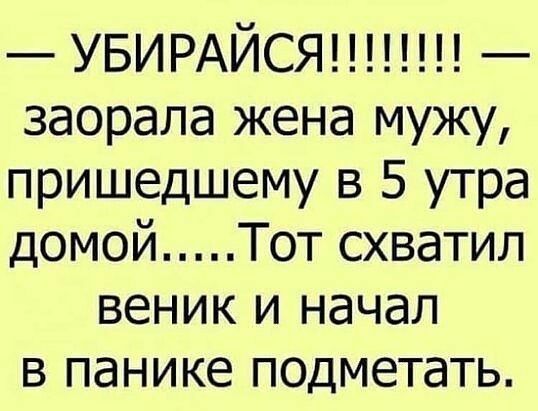 УБИРАЙСЯ заорала жена мужу пришедшему в 5 утра домой Тот схватил веник и начал в панике подметать
