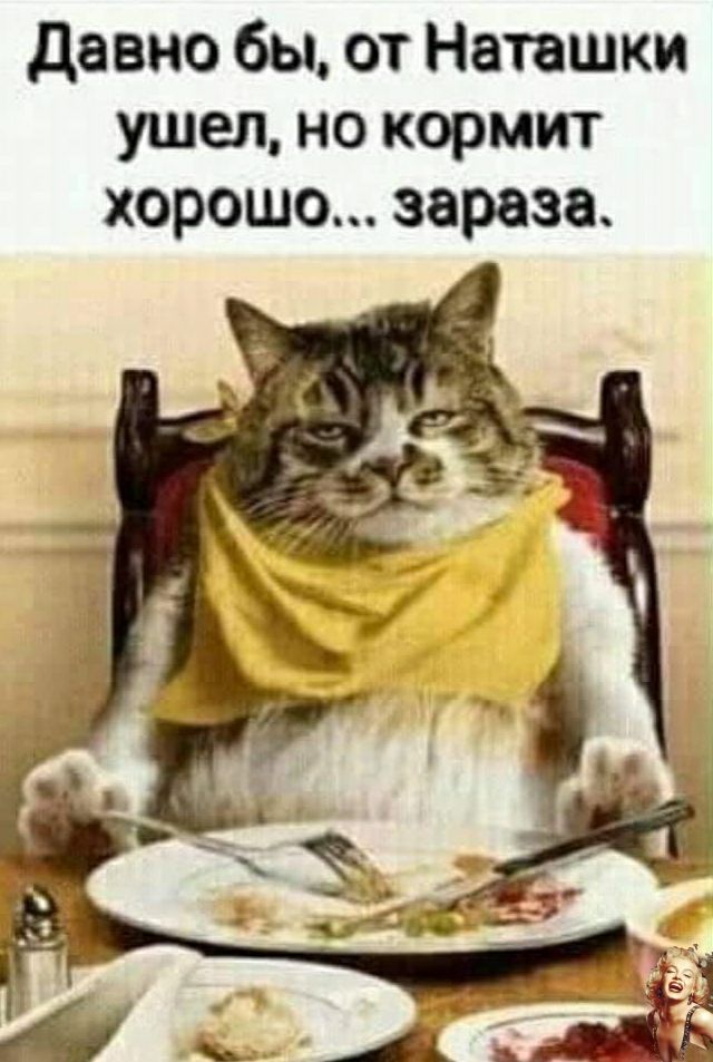 давно бы от Наташки ушел но кормит хорошо зараза
