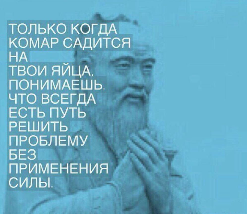 ТОЛЬКО КОГДА КОМАР САДИТСЯ НА ТВОИ ЯИЦА ПОНИМАЕШЬ ЧТО ВСЕГДА ЕСТЬ ПУТЬ РЕШИТЬ ПРОБЛЕМУ БЕЗ ПРИМЕНЕНИЯ СИЛЫ