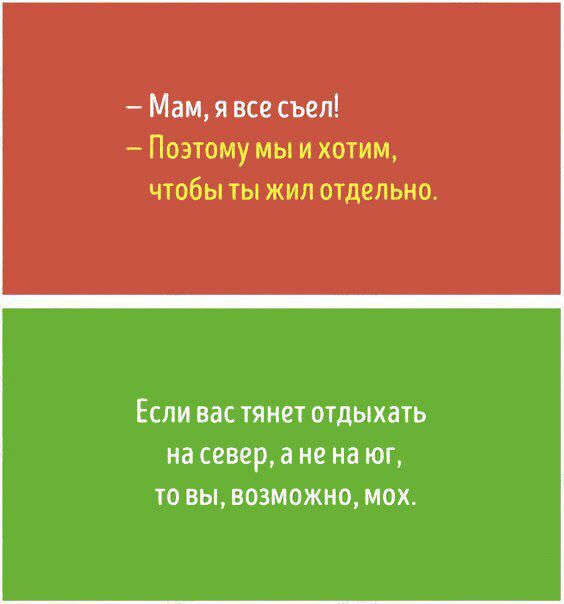 Мам я все съел Если вас тянет отдыхать на север а не на юг то вы возможно мох
