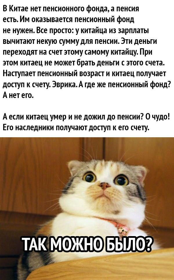 В Китае нет пенсионного фонда а пенсия есть Им оказывается пенсионный фонд не нужен Все просто у китайца из зарплаты вычитают некую сумму для пенсии Эти деньги переходят на счет этому самому китайцу При этом китаец не может брать деньги с этого счета Наступает пенсионный возраст и китаец получает доступ к счету ЭврикаА где же пенсионный фонд А нет его А если китаец умер и не дожил до пенсии 0 чудо