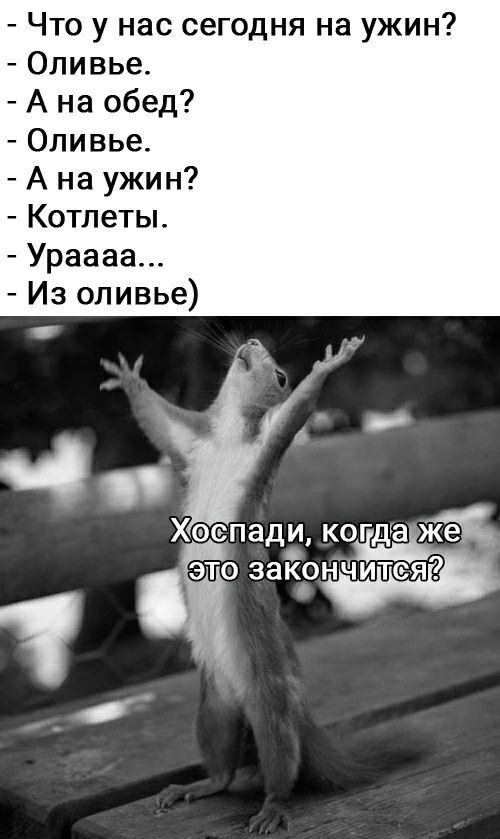 Что у нас сегодня на ужин Оливье А на обед Оливье А на ужин Котлеты Ураааа Из оливье Хоспади когдга ЖЁ это закончится