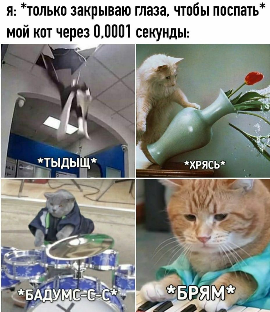 Я только закрываю глаза чтобы поспать мой кот через 00001 секундьп