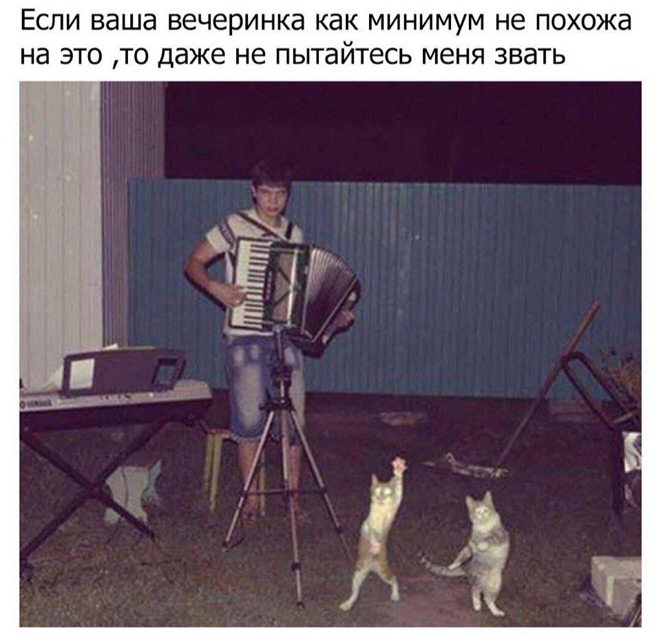 ЕСЛИ ваша вечеринка КдК МИНИМУМ не ПОХОЖЕ Нд ЭТО ТО Даже не пытайтесь МЕНЯ ЗВЭТЬ
