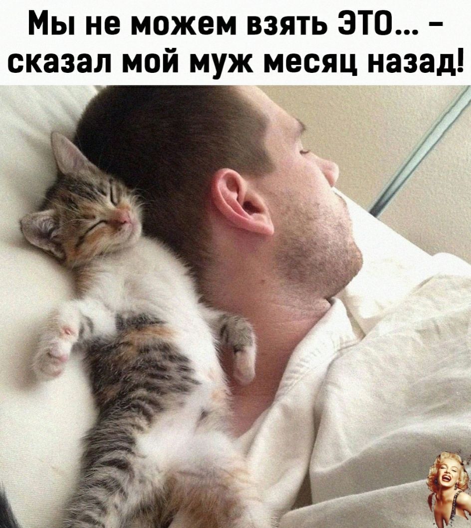 Мы не можем взять ЭТО сказал мой муж месяц назад
