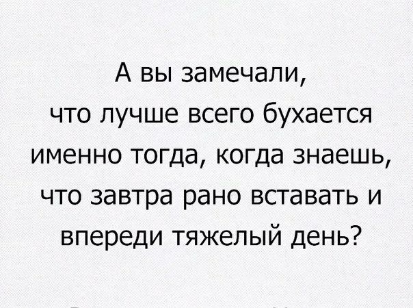 А вы замечали что лучше всего бухается именно тогда когда знаешь что завтра рано вставать и впереди тяжелый день