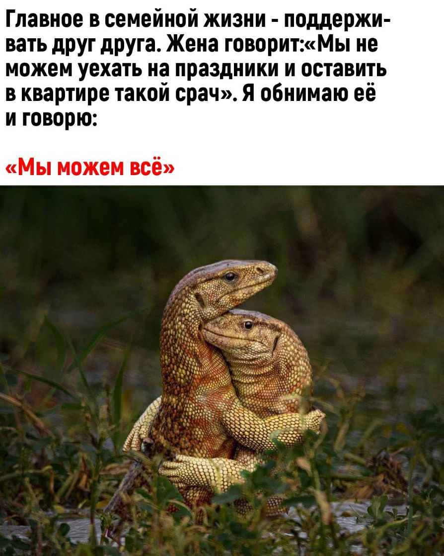 Главное в семейной жизни поддержи вать дРУг дРУга Жена говоритМы не можем уехать на праздники и оставить в квартире такой срач Я обнимаю её и говорю Мы можем всё