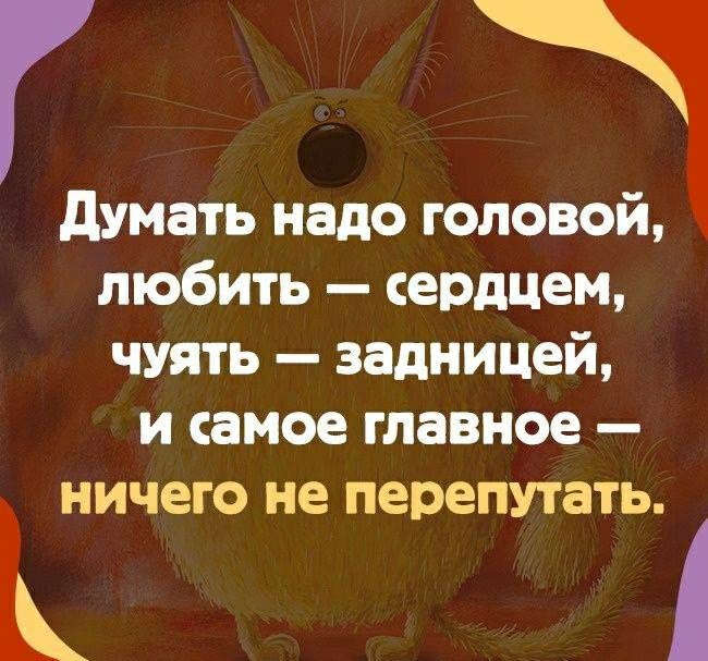 думать надо головой любить сердцем чуять задницей и самое главное ичего не перепутать
