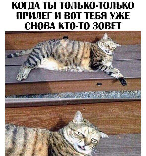 КОГДА ТЫ ТОЛ ЬКО ТОЛ ЬКО ПРИЛЕГ И ВОТ ТЕБЯ УЖЕ