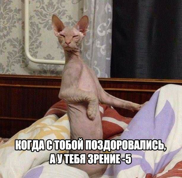 9 товііп ШТЕБП ццццц