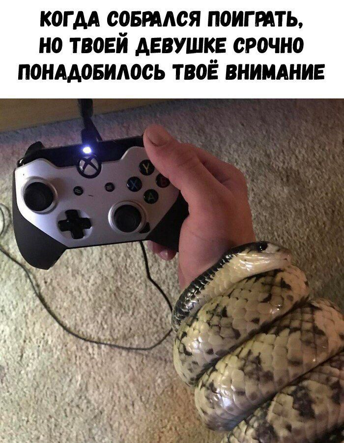 КОГ АА СОБРААСЯ П0ИГРАТЬ НО ТВОЕЙ АЕВУШКЕ СР0ЧН0 П0НААОБИА00Ь ТВОЁ ВНИМАНИЕ