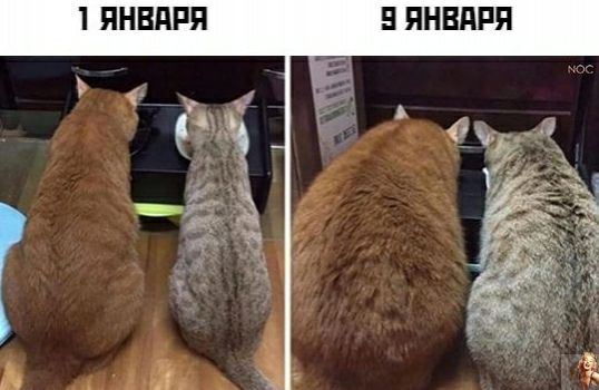 ЯНВПРП 5 ЯНВПРЯ