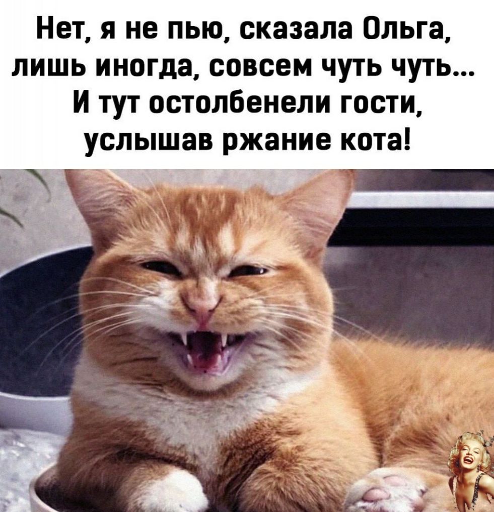 Нет я не пью сказала Ольга лишь иногда совсем чуть чуть И тут остолбенели гости услышав ржание кота