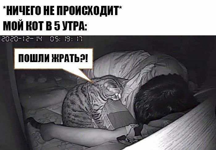 НИЧЕЮ НЕ ПРПИШШДИГ