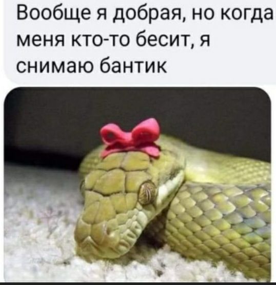 Вообще я добрая но когда меня кто то бесит я снимаю бантик