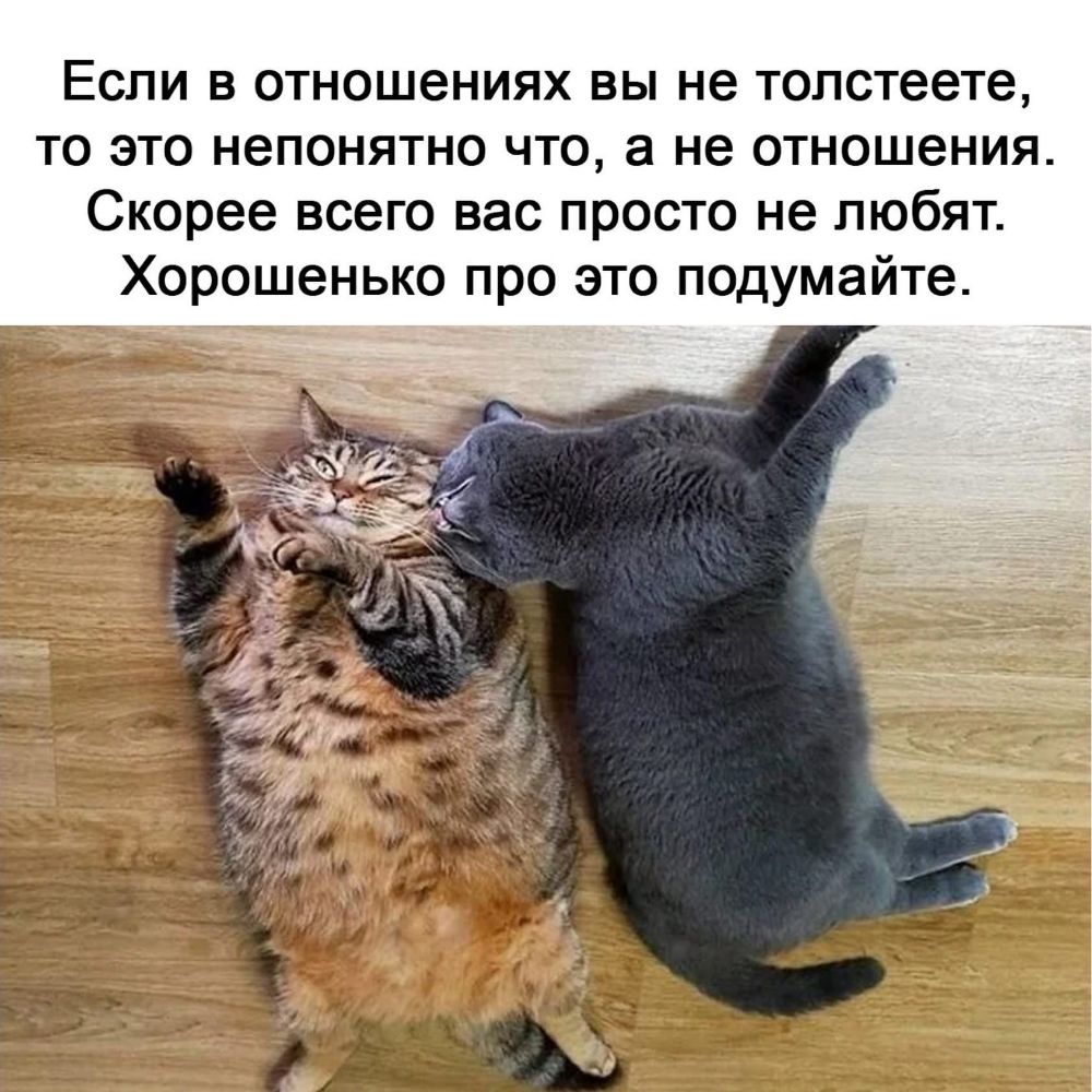 Если в отношениях вы не толстеете то это непонятно что а не отношения Скорее всего вас просто не любят Хорошенько про это подумайте