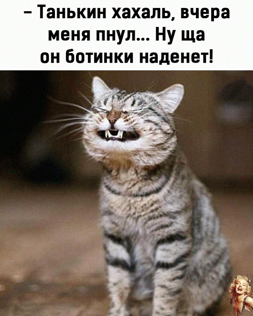 Танькин хахаль вчера меня пнул Ну ща он ботинки наденет
