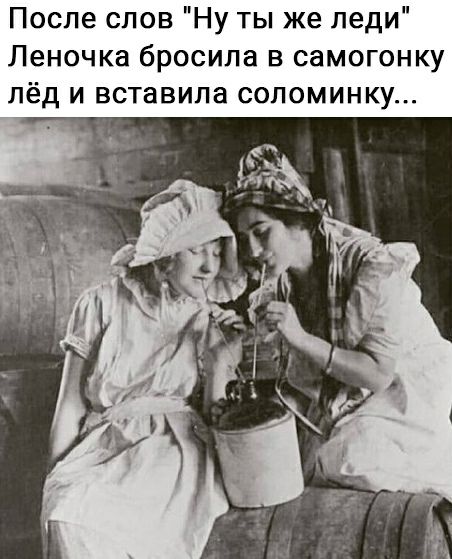 После слов Ну ты же леди Леночка бросила в самогонку лёд и вставила соломинку