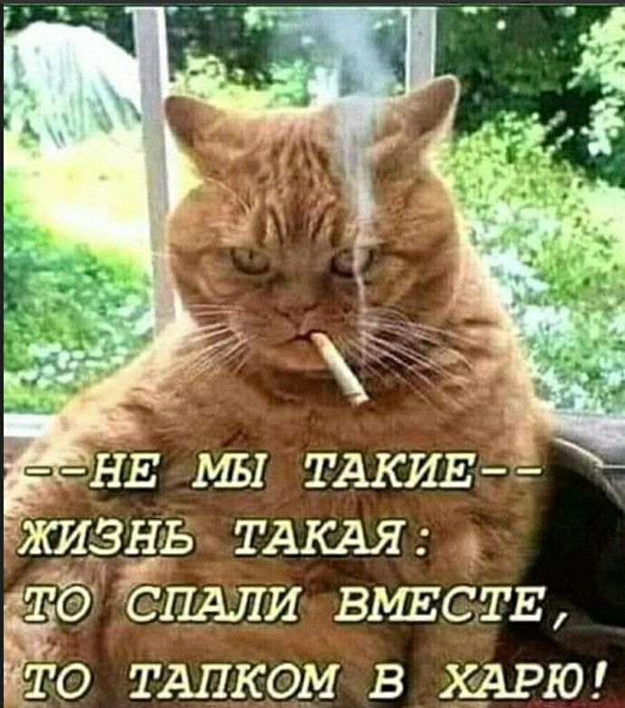 НЕ мы ТАКИЕ жидзнь ТАКАЯ _ ЁпАлИ ВМЕСТЕ Ёе ТАПКОМ в