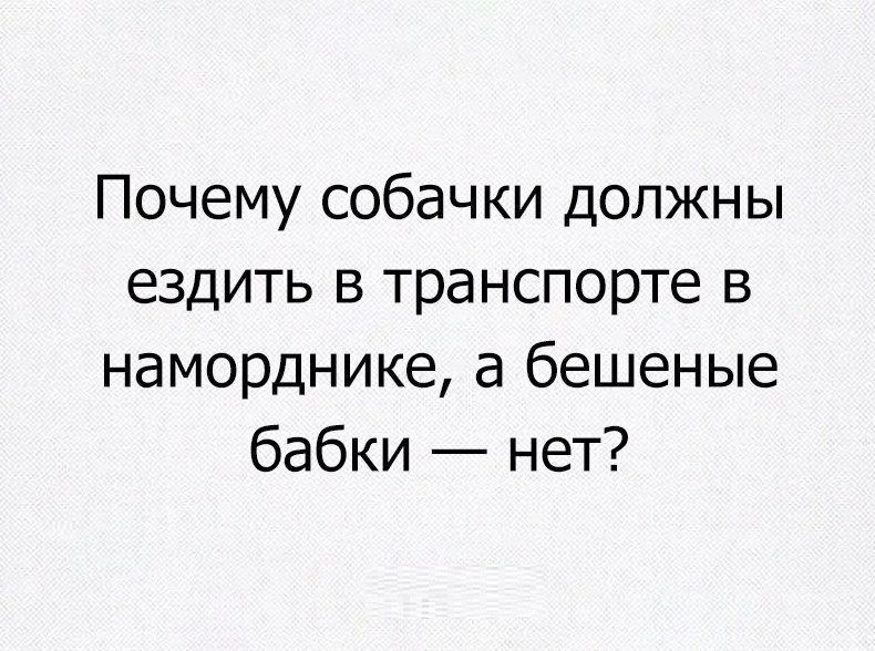 Почему собачки должны ездить в транспорте в наморднике а бешеные бабки нет