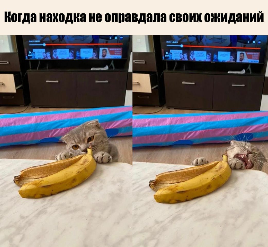 Когда находка не оппавдапа ВВОИХ ОЖИДЕНИЙ