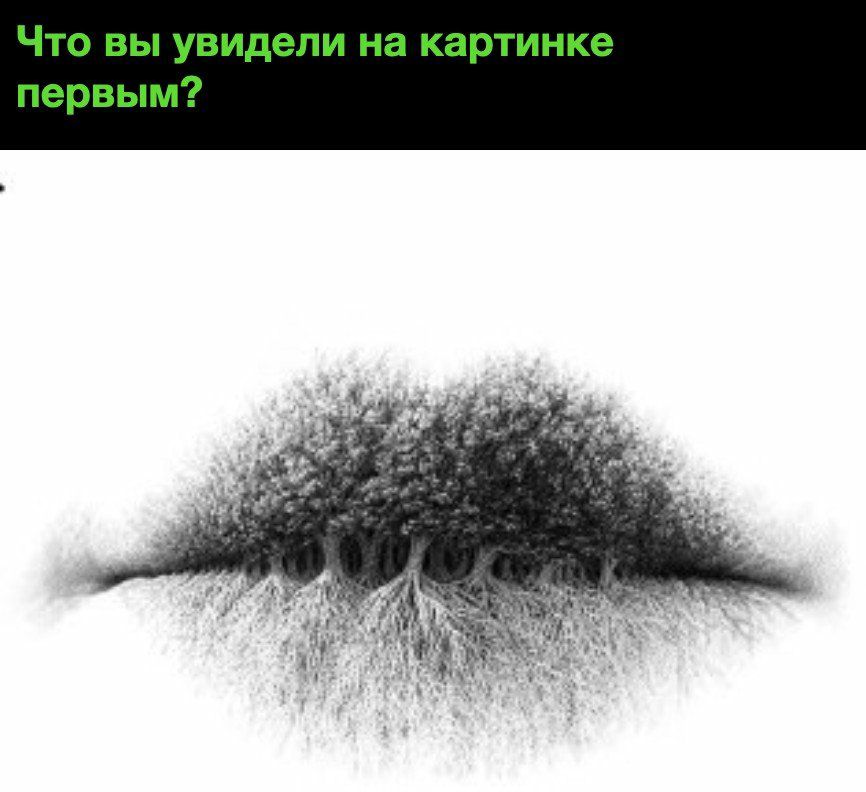 Что вы увидели на картинке первым