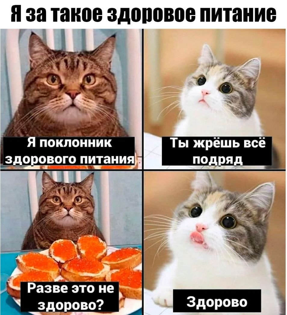 я за такое ЗДПШЪВПВ питание Разве это не здорово 1