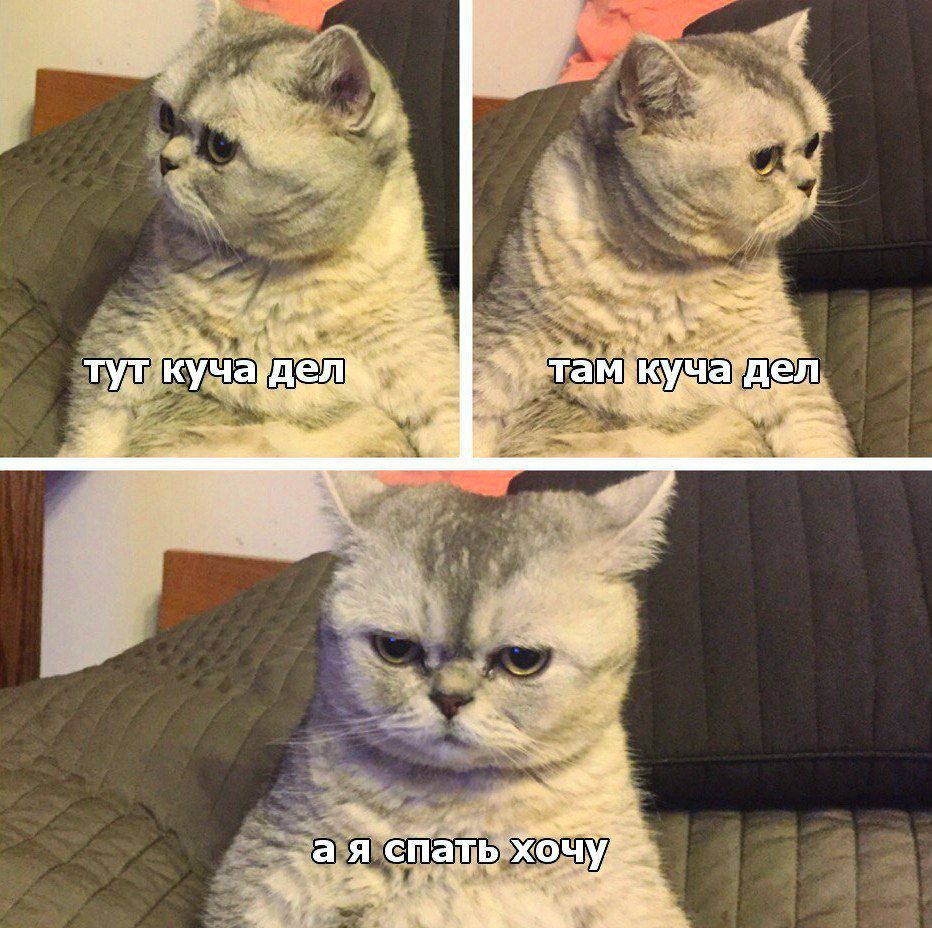 аптч Т