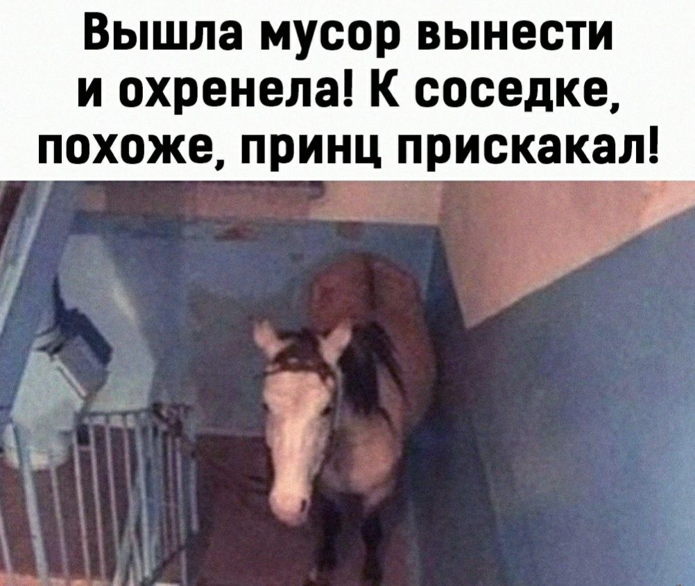 Вышла мусор вынести и охренела К соседке похоже принц прискакал
