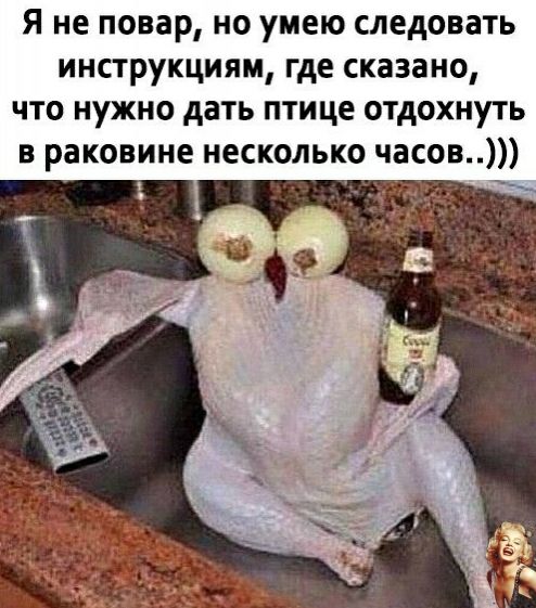 Я не повар но умею следовать инструкциям где сказано что нужно дать птице отдохнуть в раковине несколько часов