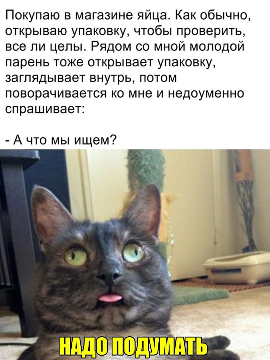 Покупаю в магазине яйца Как обычно открываю упаковку чтобы проверить все ли целы Рядом со мной молодой парень тоже открывает упаковку заглядывает внутрь потом поворачивается ко мне и недоуменно спрашивает А что мы ищем