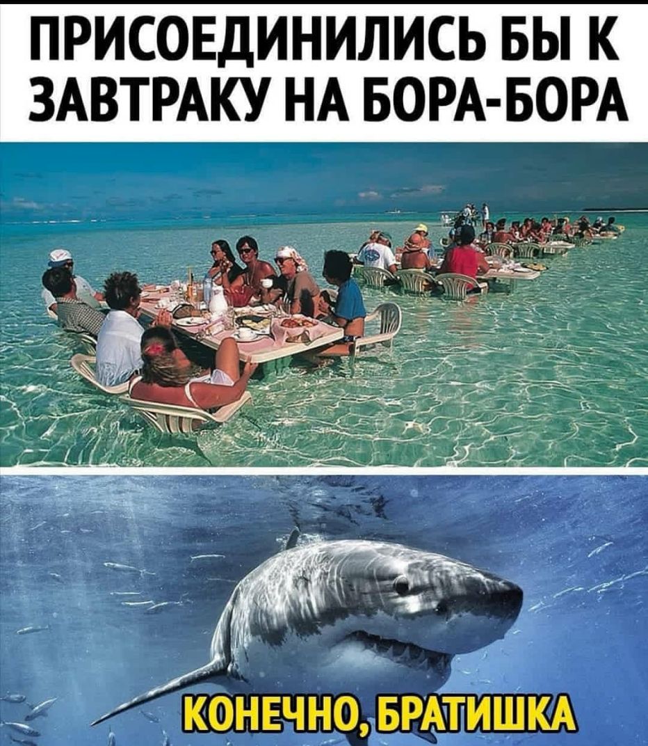 ПРИСОЕДИНИЛИСЬ БЫ К ЗАВТРАКУ НА БОРА БОРА Конечно ьрйишкд