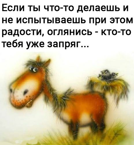 Если ты что то делаешь и не испытываешь при этом радости оглянись кто то тебя уже запряг