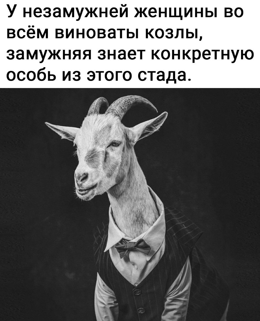 У незамужней женщины во всём виноваты козлы замужняя знает конкретную особь из этого стада
