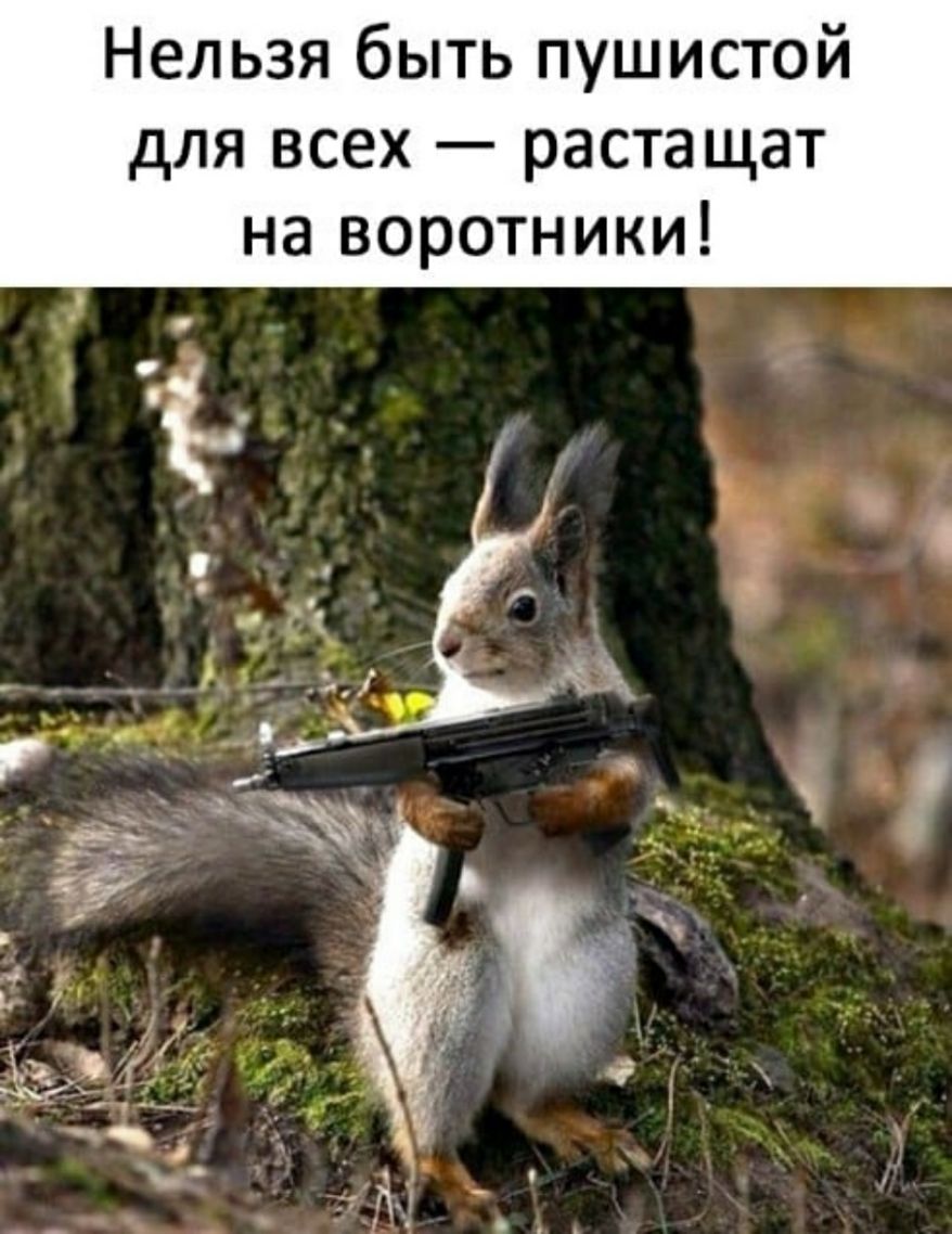 Нельзя быть пушистой для всех растащат на воротники