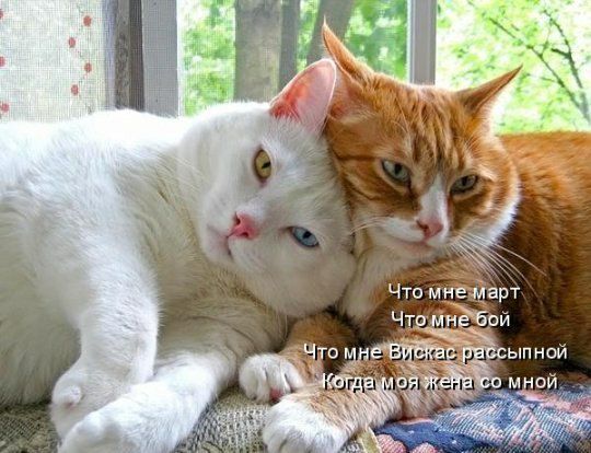 Что мне март 6011 ыпншй