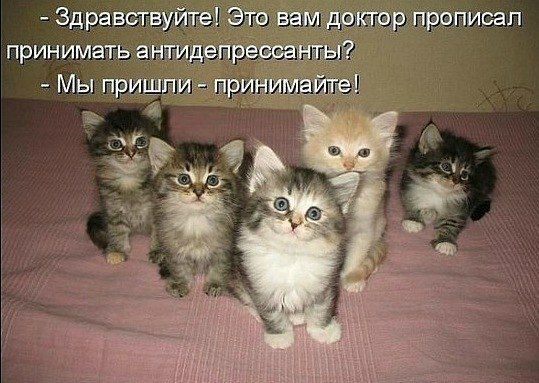 р прописал
