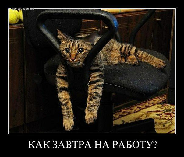 КАК ЗАВТРА НА РАБОТУ