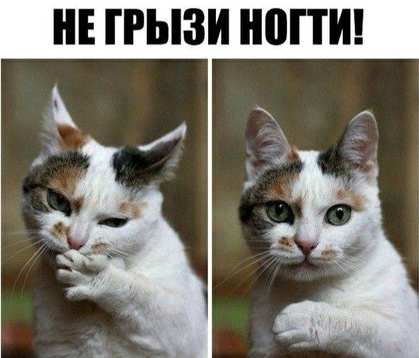 НЕ ПЫЗИ НОГТИ